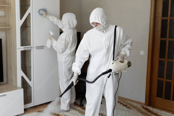 Best Post-Remediation Services in Hayfork, CA